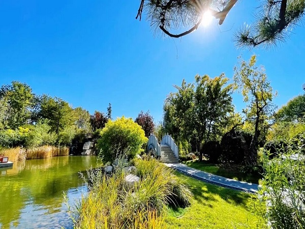 市场新风向：中国服务式公寓客群变迁与需求重塑