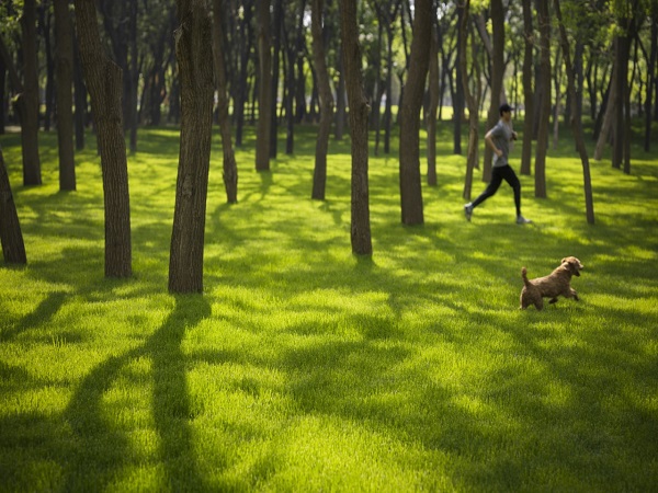高出租率酒店式公寓的三大核心支柱